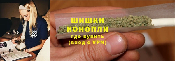 spice Богородск