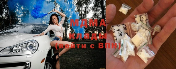 spice Богородск