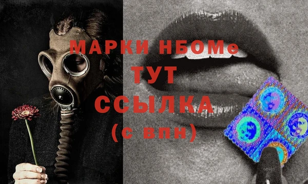 spice Богородск
