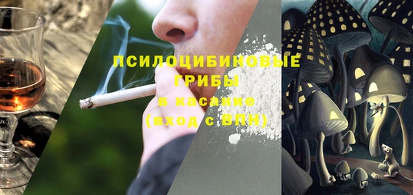 спайс Богородицк