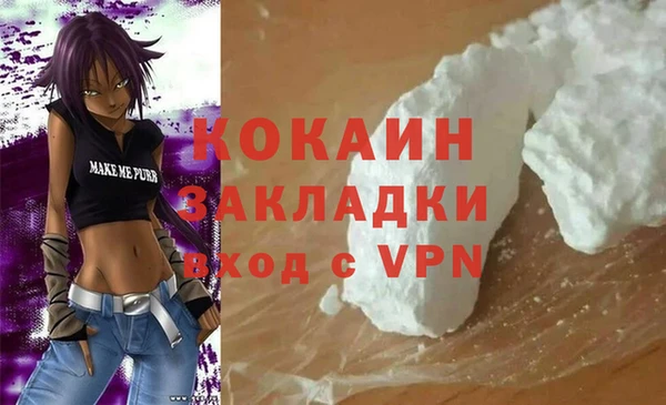 spice Богородск