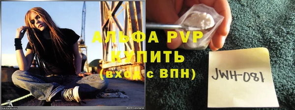 spice Богородск