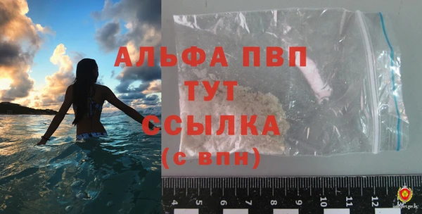 spice Богородск